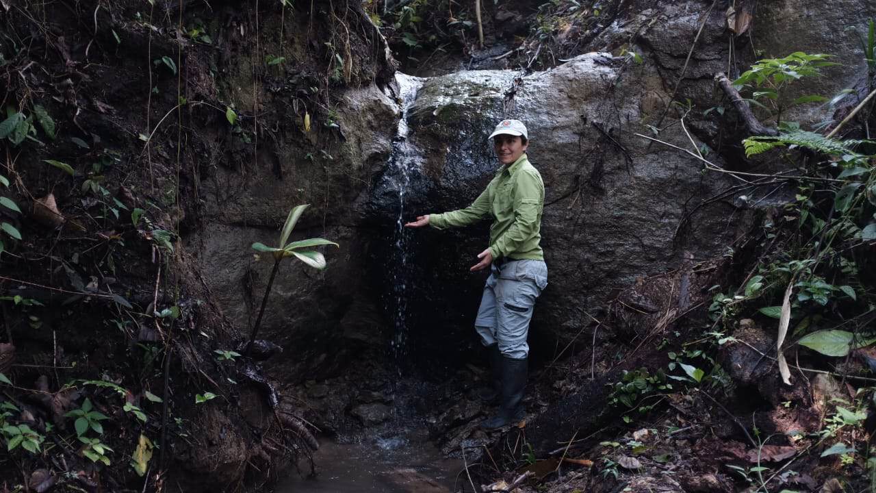 Person exploring a natural water source in a lush forest setting.