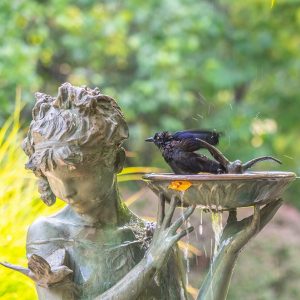 Sculptural Birdbaths