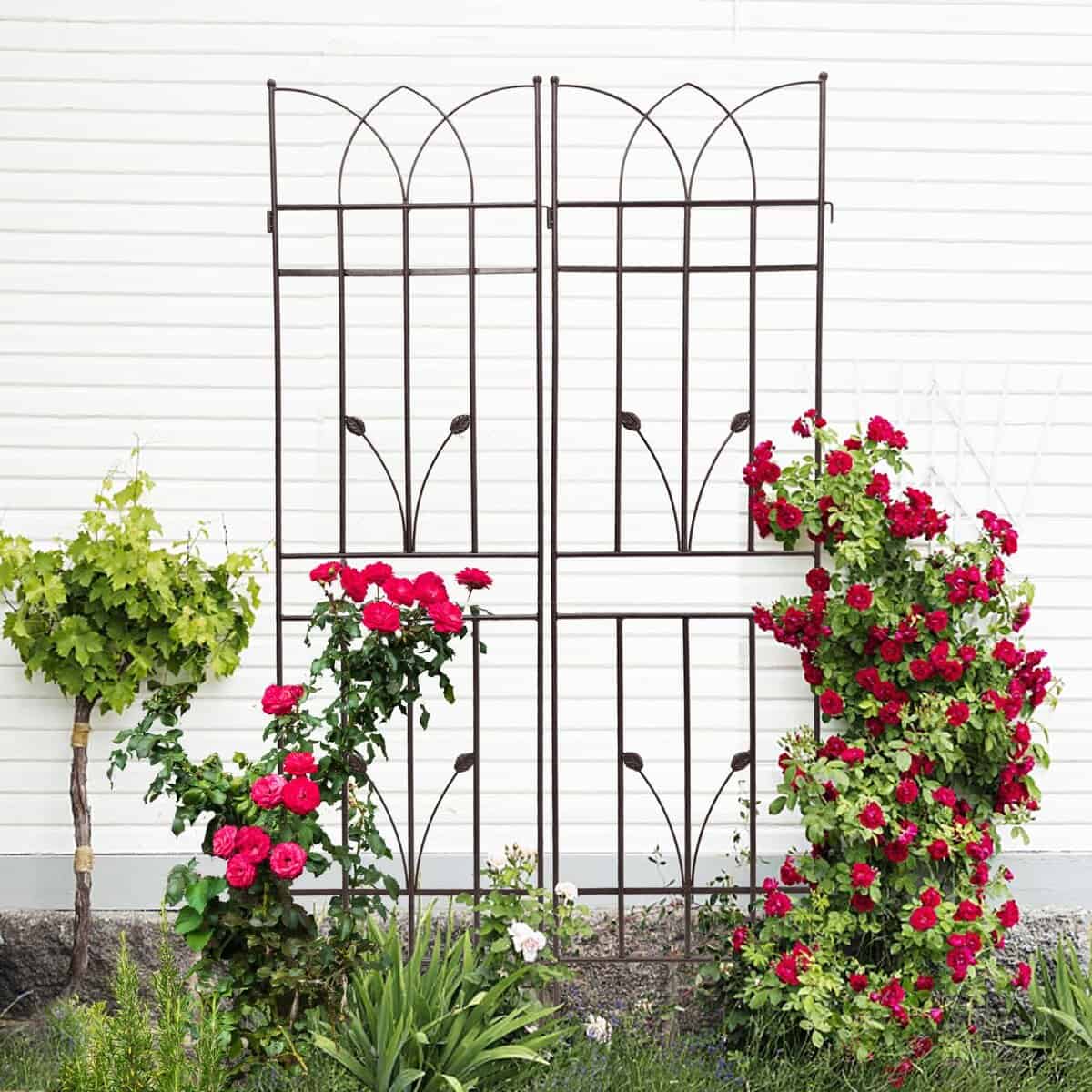 2 Pack Metal Garden Trellis with Rustproof Feature and Sturdy Iron Construction, Climbing Plant Support for Outdoor, Easy Assembly, Brown | Aosom.com
