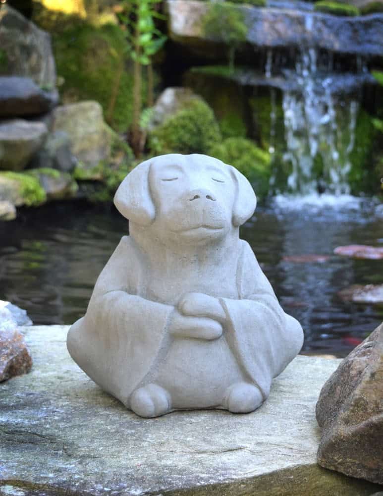 concrete Buddha dog