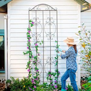 Montebello Metal Tall Garden Trellis