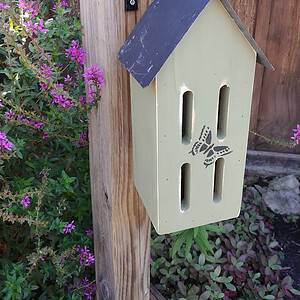 Stenciled Butterfly Bird House with Metal Roof
