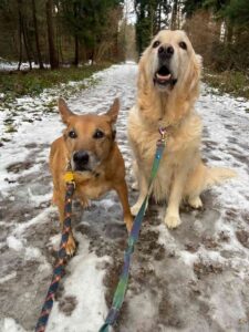 Kiki and Swagger posing for a photo together before their flight from Switzerland to New York.