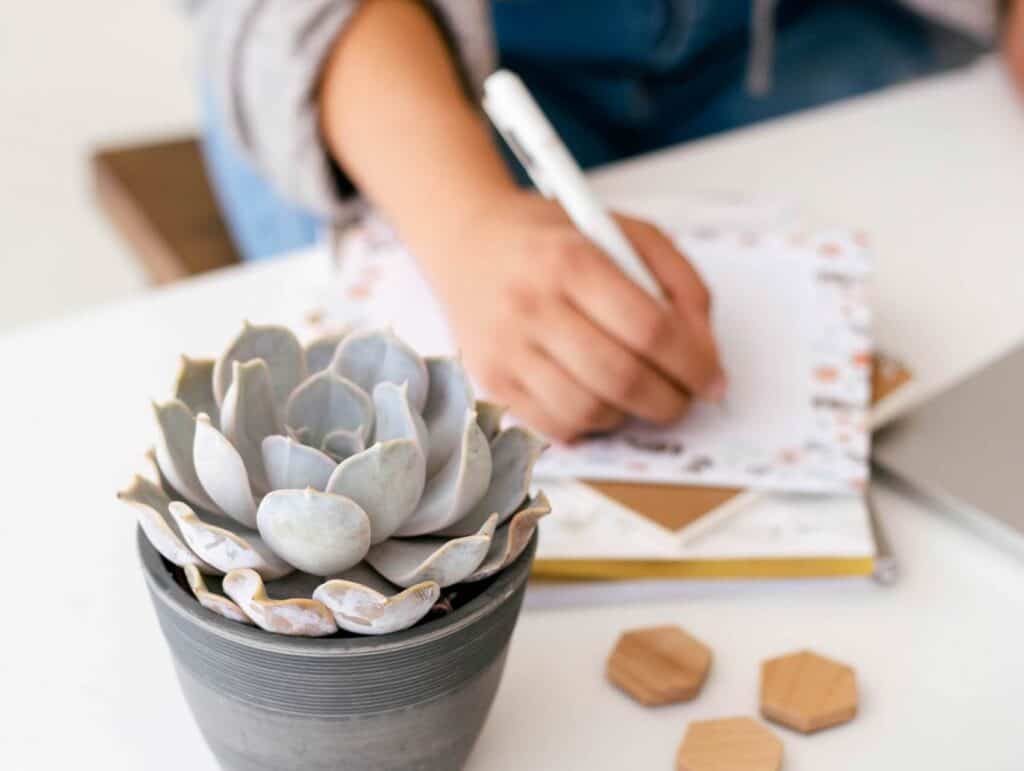 woman writing on her notepad in the background with a silver-gray succulent in the foreground - how to blog consistently