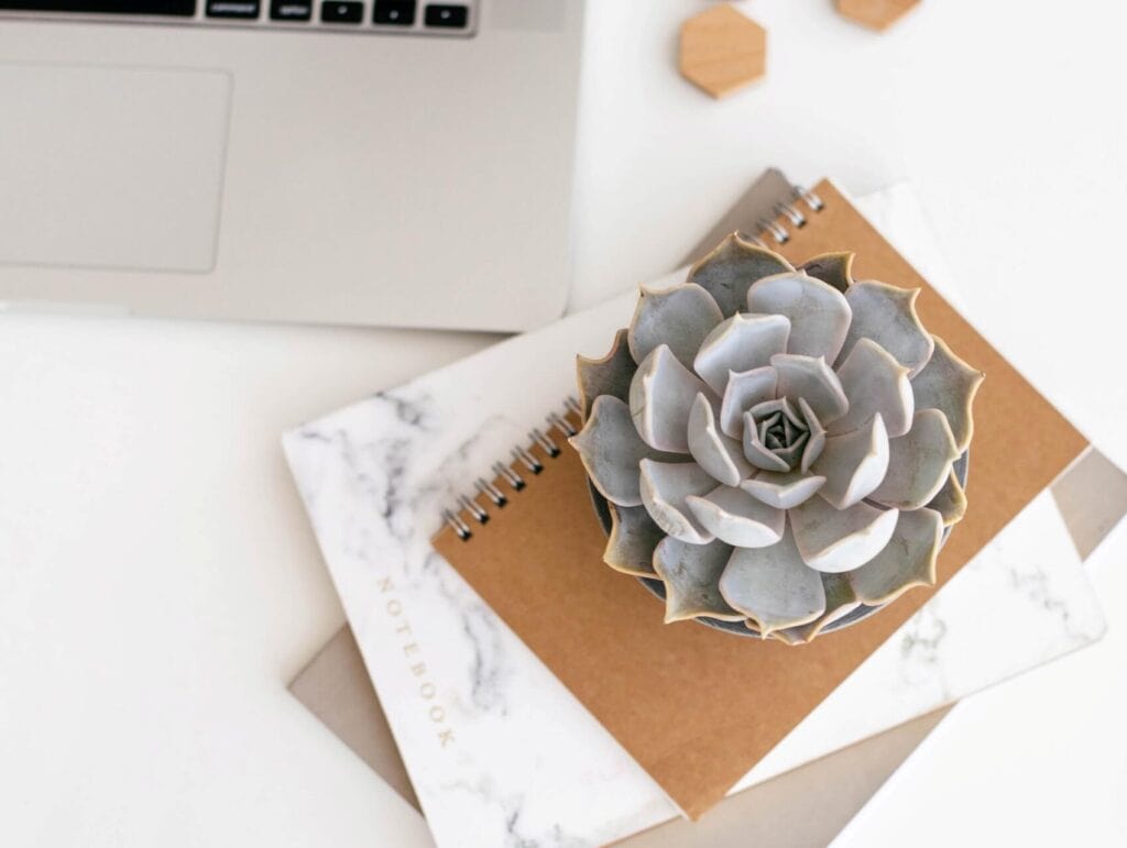 top view of a desk with a pile of notebooks and a silver-grey succulent on top - how to blog consistently