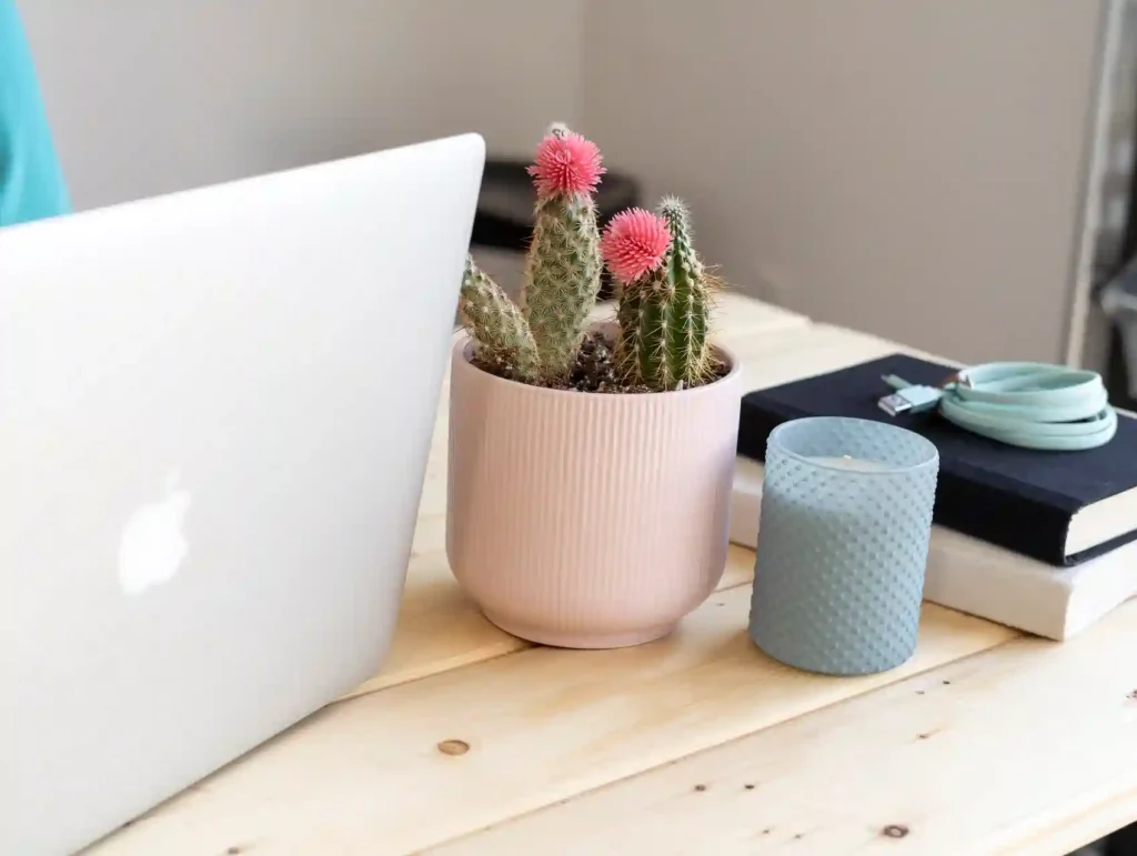 A close-up of a desk with a MacBook, pink potted cactus, blue candle, and books, demonstrating a stylish arrangement - time tracking tools.