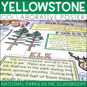 Yellowstone National Park Collaborative Poster