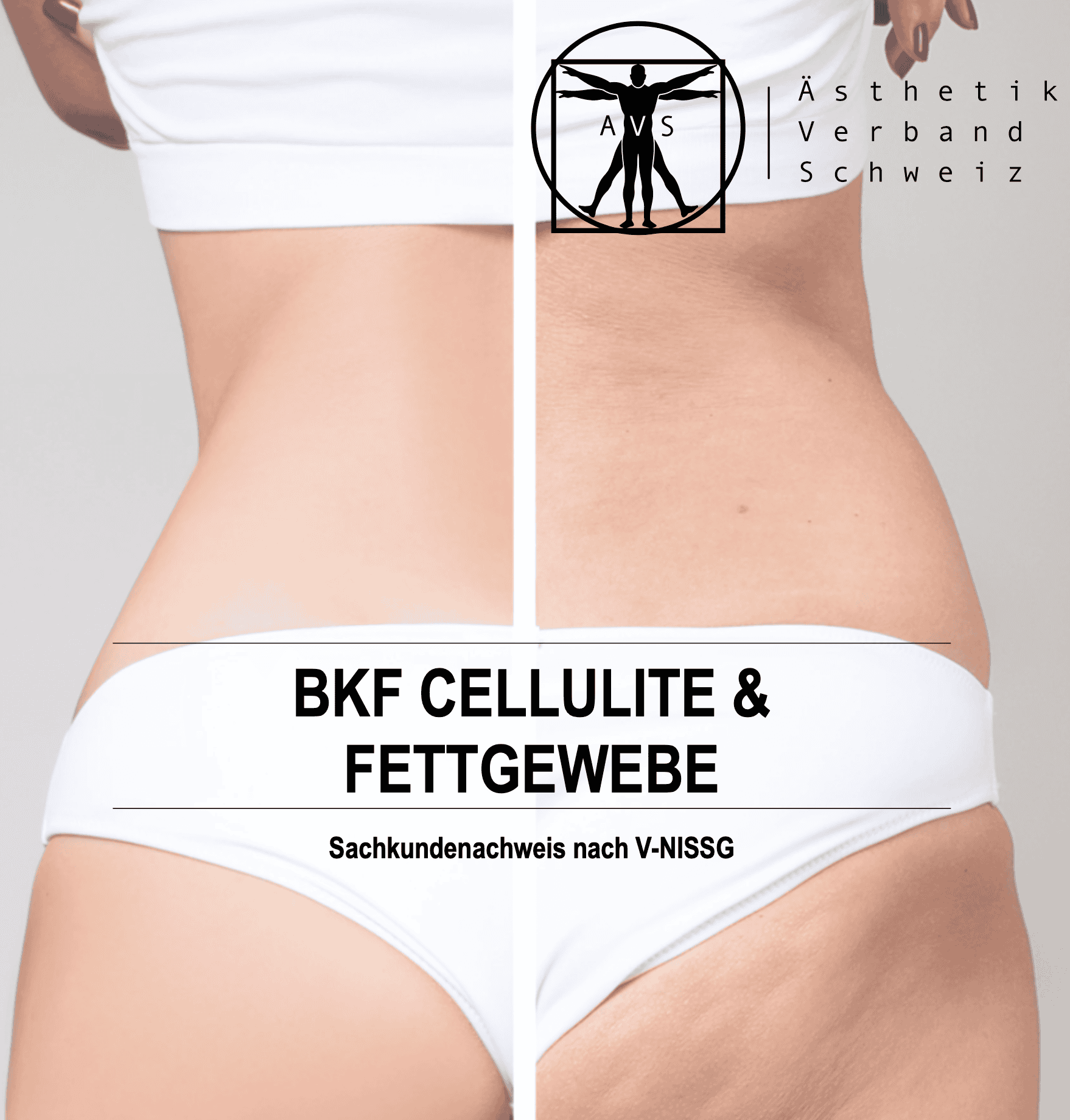 Einzelschulung Modul BKF Cellulite & Fettgewebe