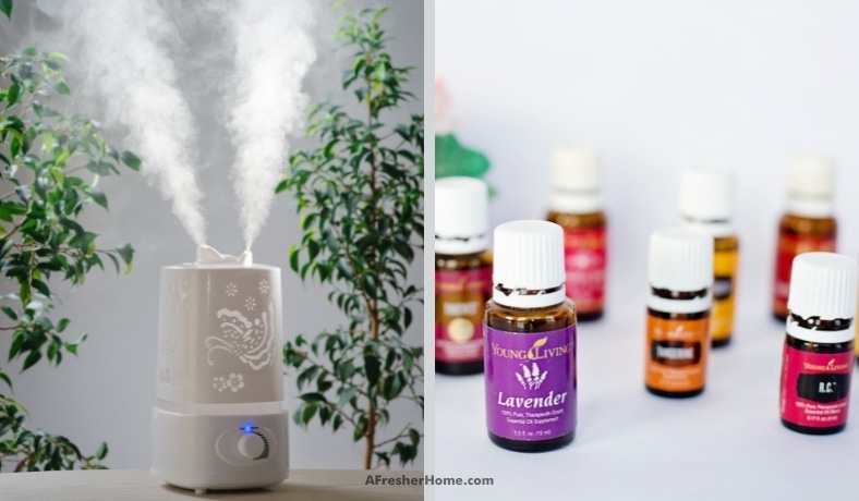 can you put essential oils in a humidifier featured image