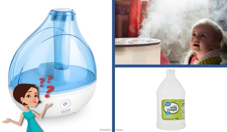 can you run vinegar through a humidifier main article image
