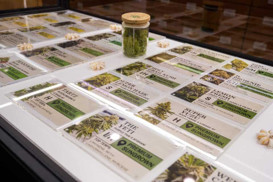 Display case with strain information cards at Aloha Green Apothecary, highlighting terpene profiles and product details.