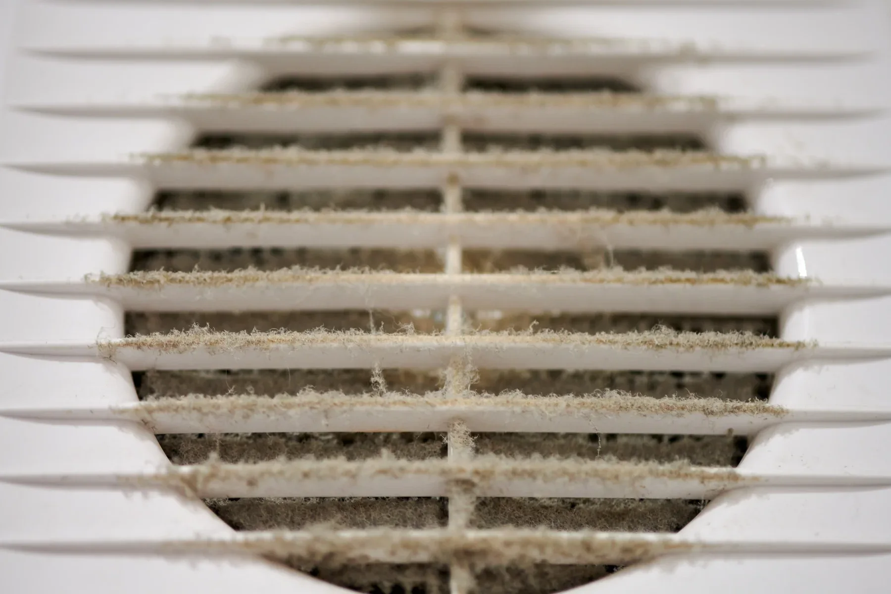 Close-up of a dirty white air vent covered in dust and debris.