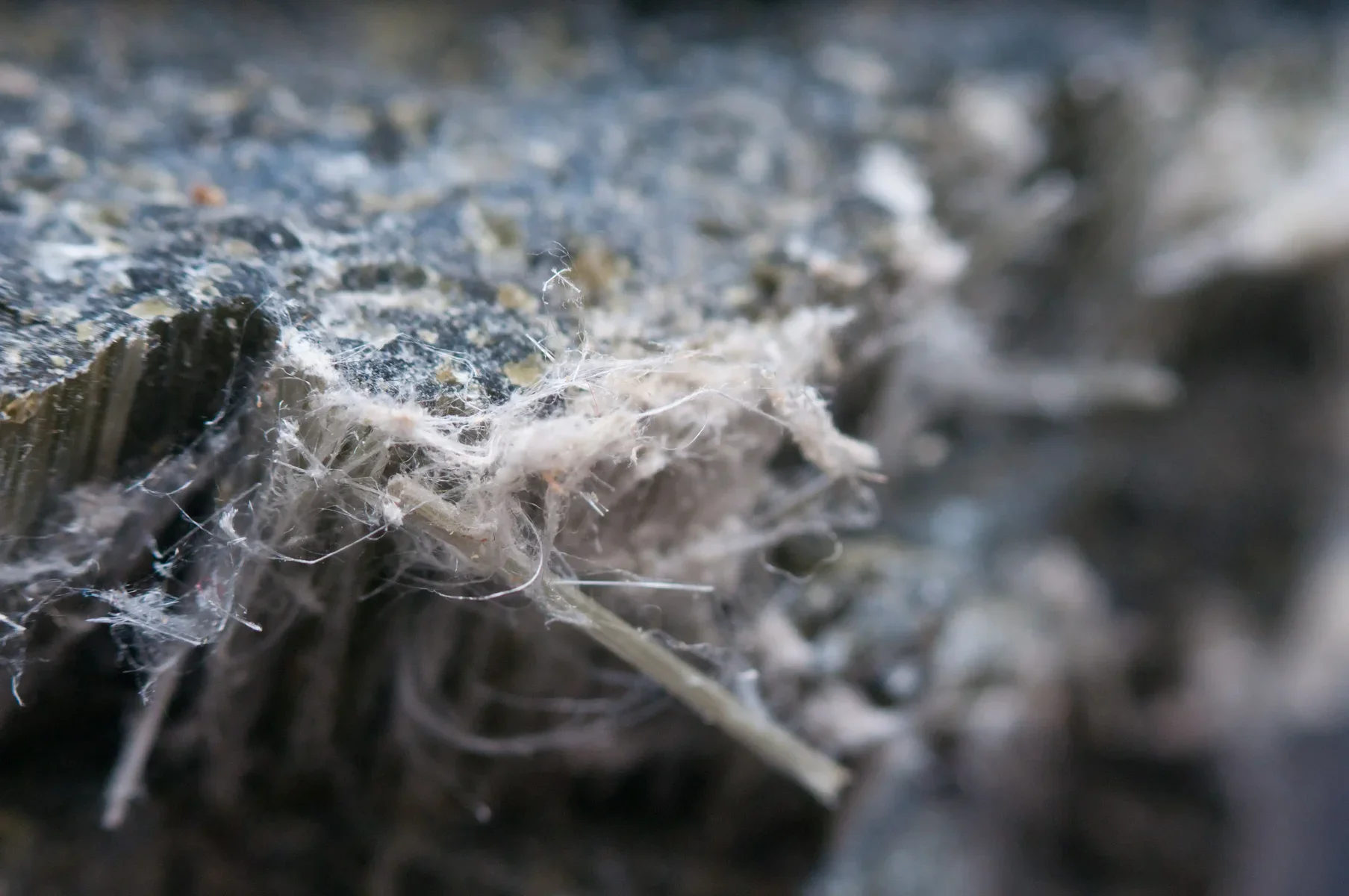 Close-up of fibrous material on a dark, rough surface