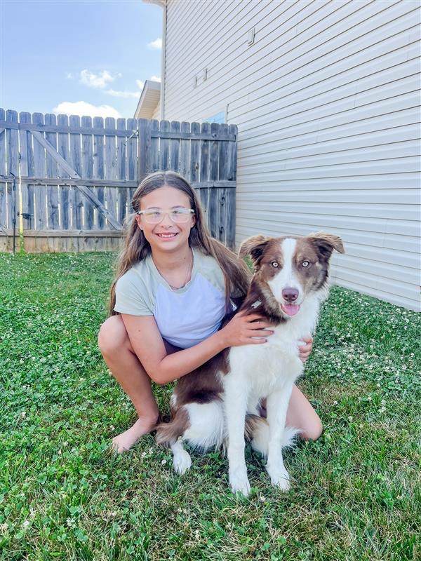 Young girl with glasses and a Border Collie in a backyard.