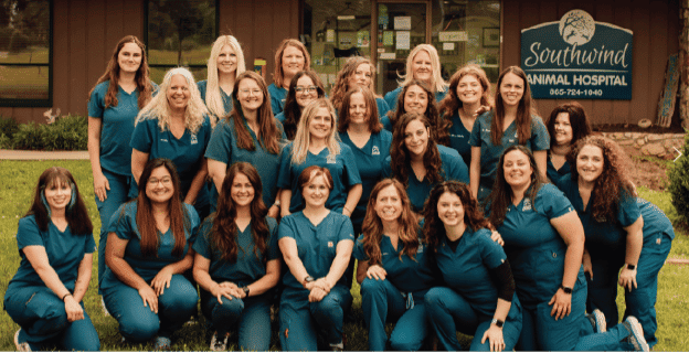SouthWind Animal Hospital staff team in matching uniforms outside the clinic.