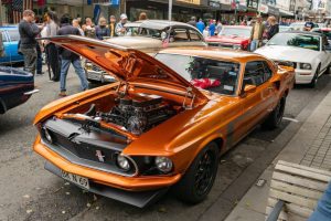 Americarnival ©Ricky Malcolm