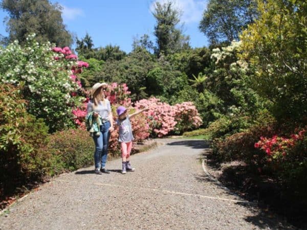Colorful garden walk with woman and child enjoying spring blooms in Auckland, New Zealand.