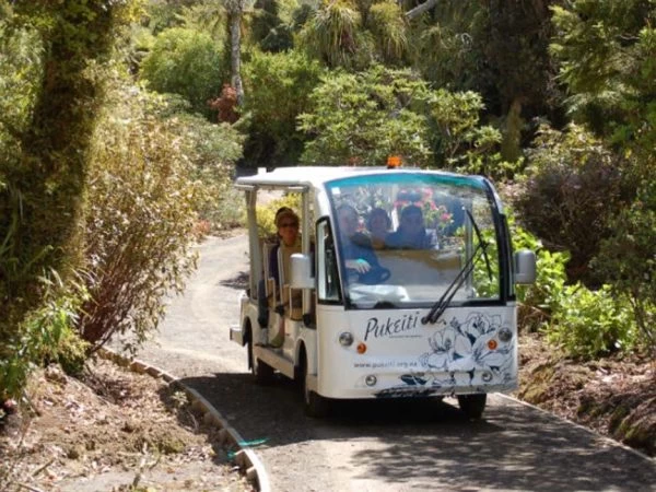 Alpaca eco tour train in lush New Zealand native forest, scenic adventure with Puketi Forest.