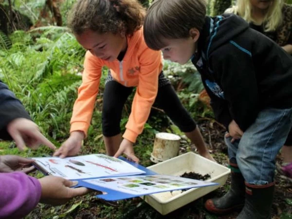 Children discovering insects and plants in a lush forest environment.