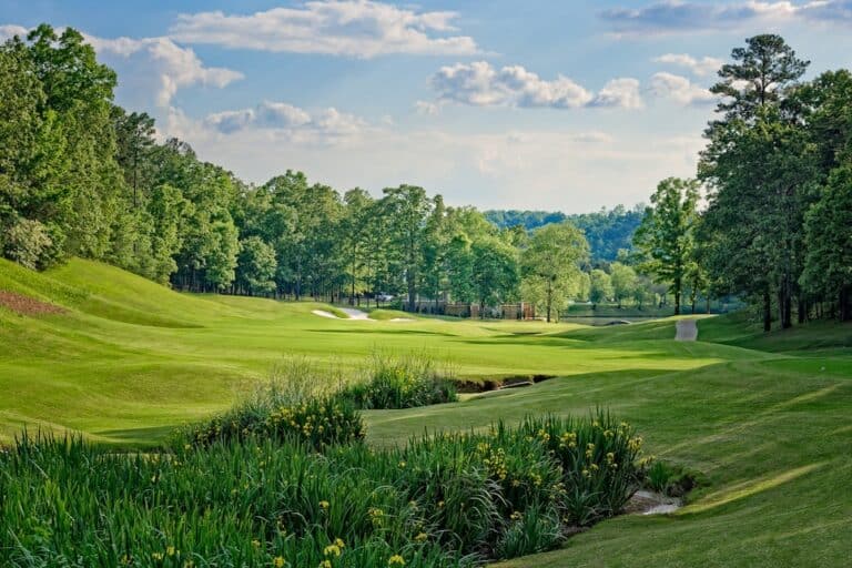 Lush green golf course landscape