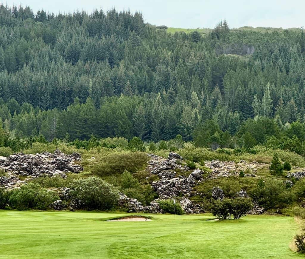 Lush green golf course with trees