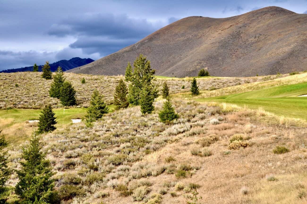 Rolling hills with sparse vegetation.