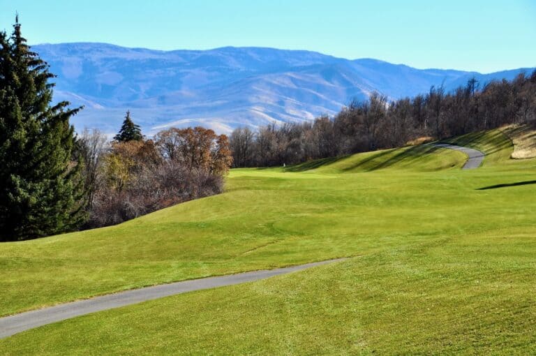 Lush green golf course with mountains
