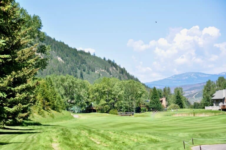 Lush green golf course landscape