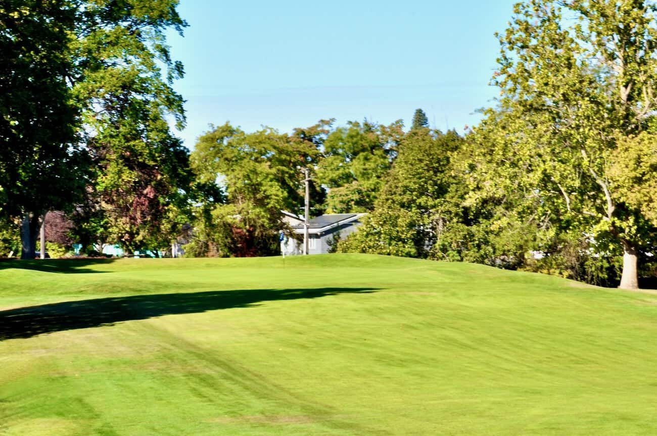Lush green golf course with trees and clear blue sky in the background.