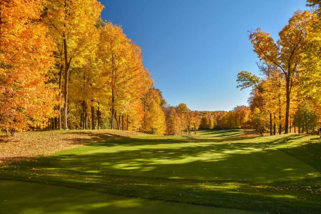 Minnesota