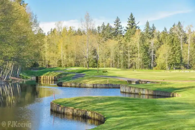 loomis trail golf