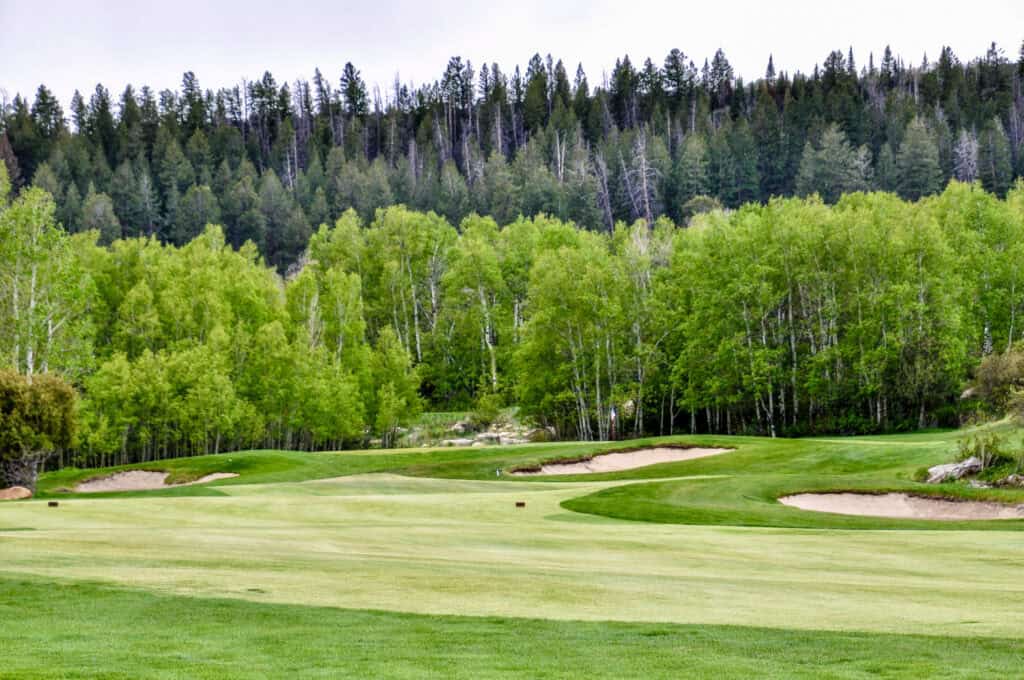 Scenic golf course with lush green fairways and surrounding trees.