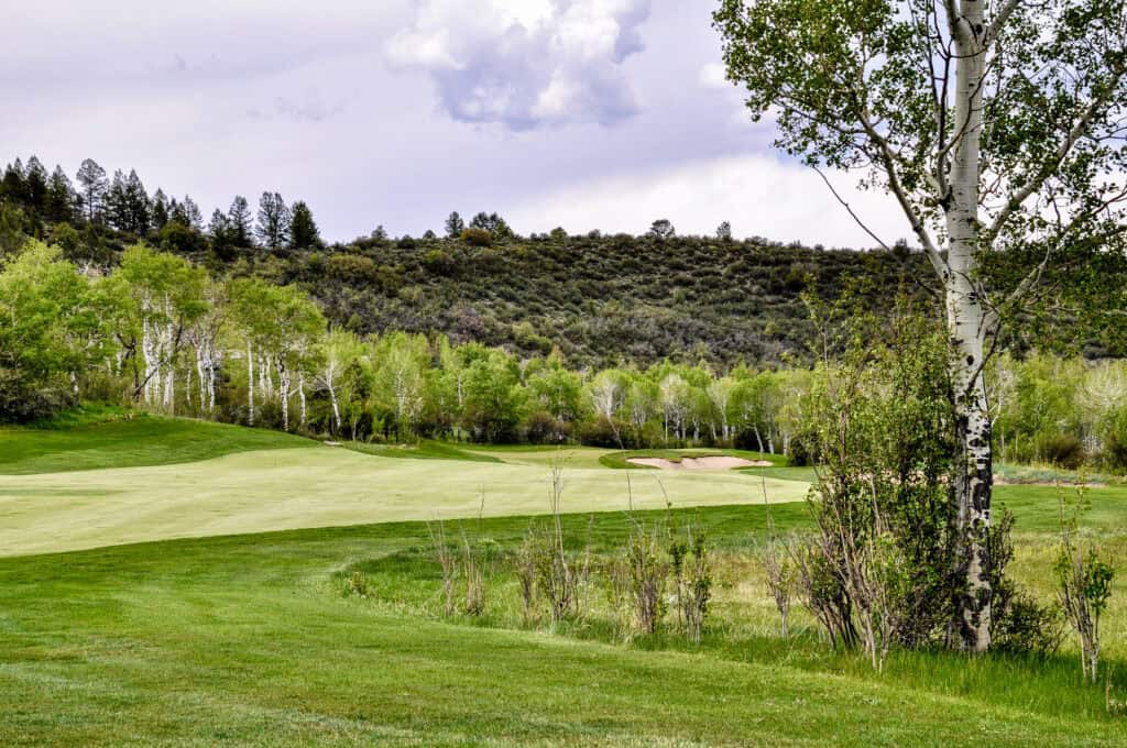 Scenic landscape with lush green grass, trees, and rolling hills under a cloudy sky.