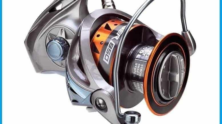 Laser Fish Merate