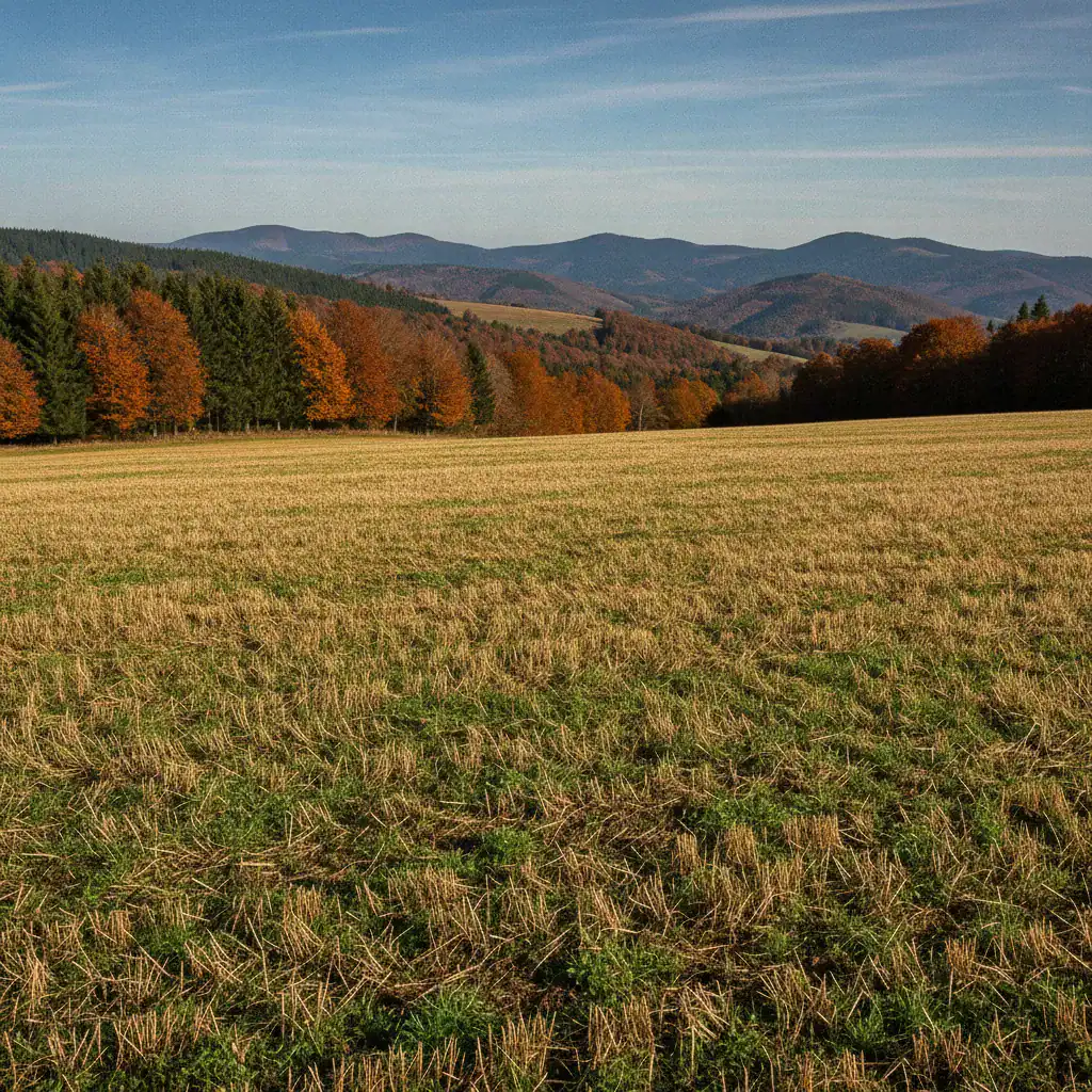 récolte foin de montagne Vosges altitude