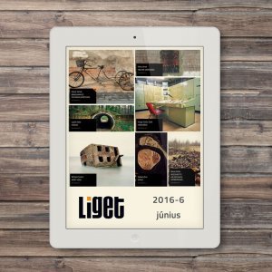LIGET FOLYÓIRAT | 2016 JÚNIUS