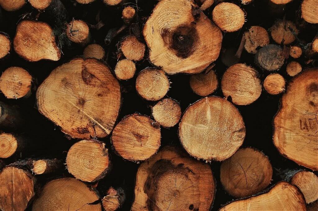 FORRÓSÁG, VALAMI LENYELHETETLEN GOMBÓC A TOROKBAN