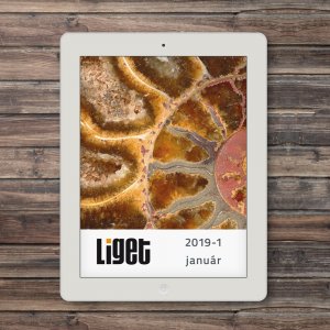 LIGET FOLYÓIRAT | 2019 JANUÁR