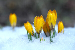 AZ ÚJ ÉVEZRED ELÉ