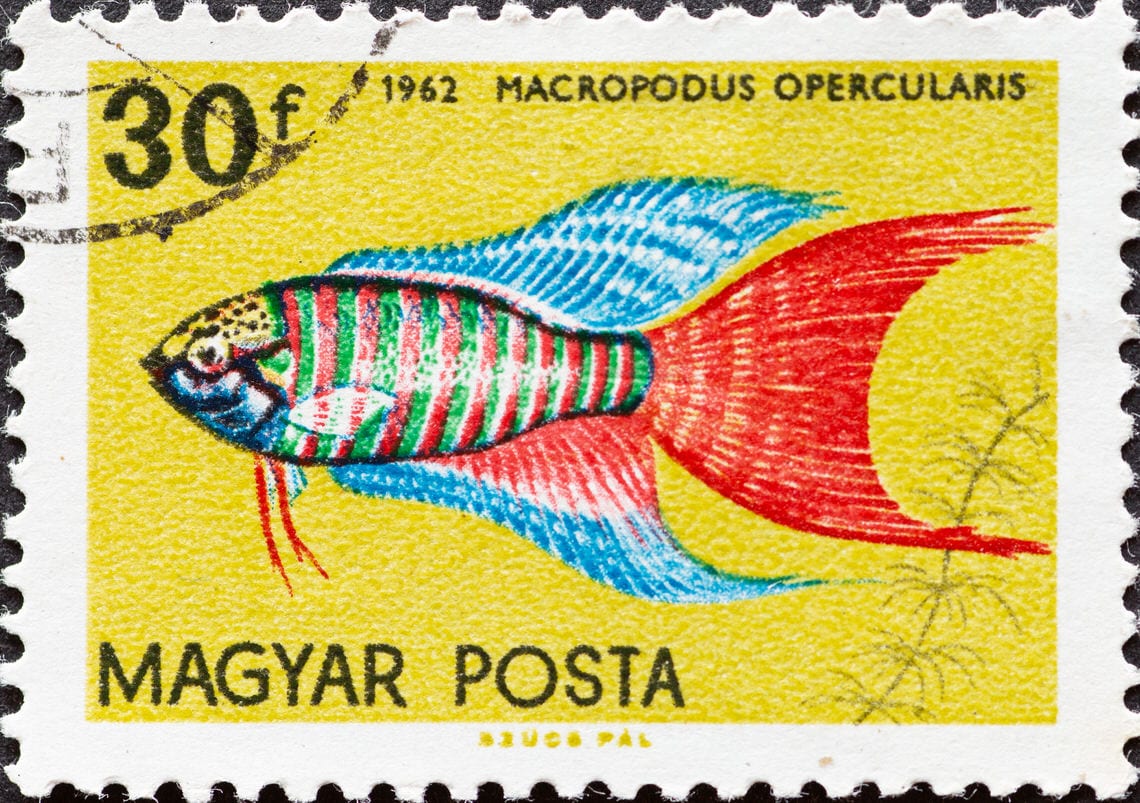 POHÁRBAN A BÉLYEGEK