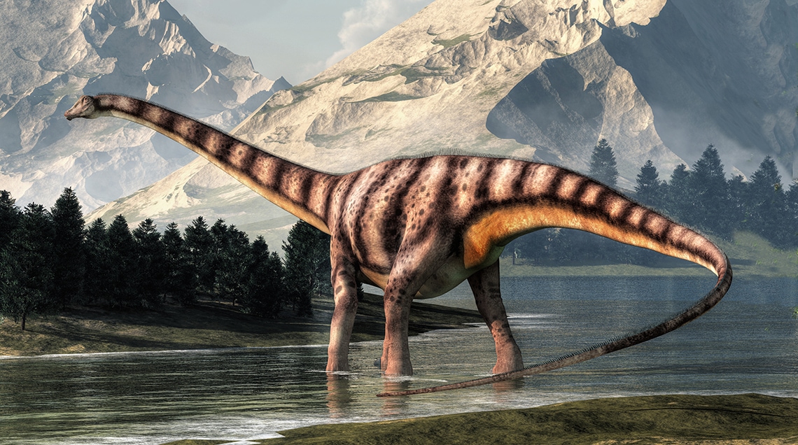DIPLODOCUS