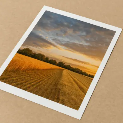 Image for choice number 9