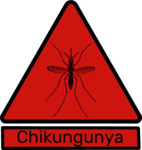 Chikungunya e donazione di sangue