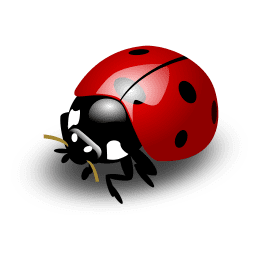 Coccinella snc Giardiniere