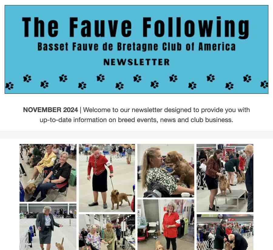 Basset Fauve newsletter with dog show images.
