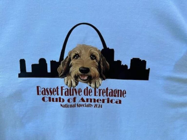 Basset Fauve de Bretagne event shirt, 2024