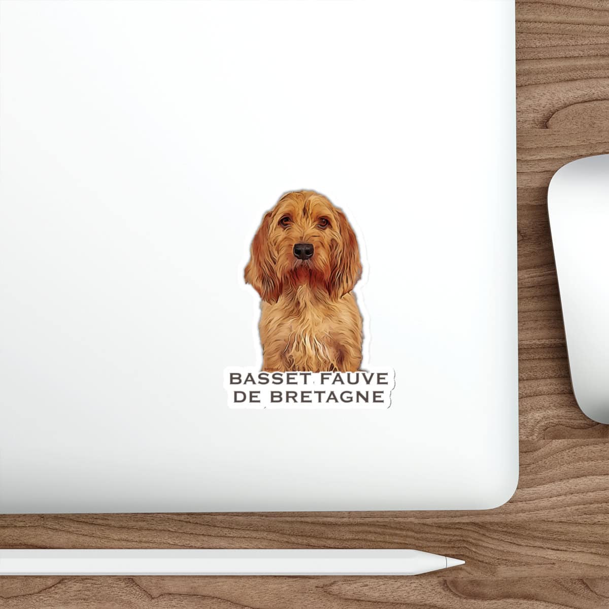 Basset Fauve de Bretagne sticker on laptop
