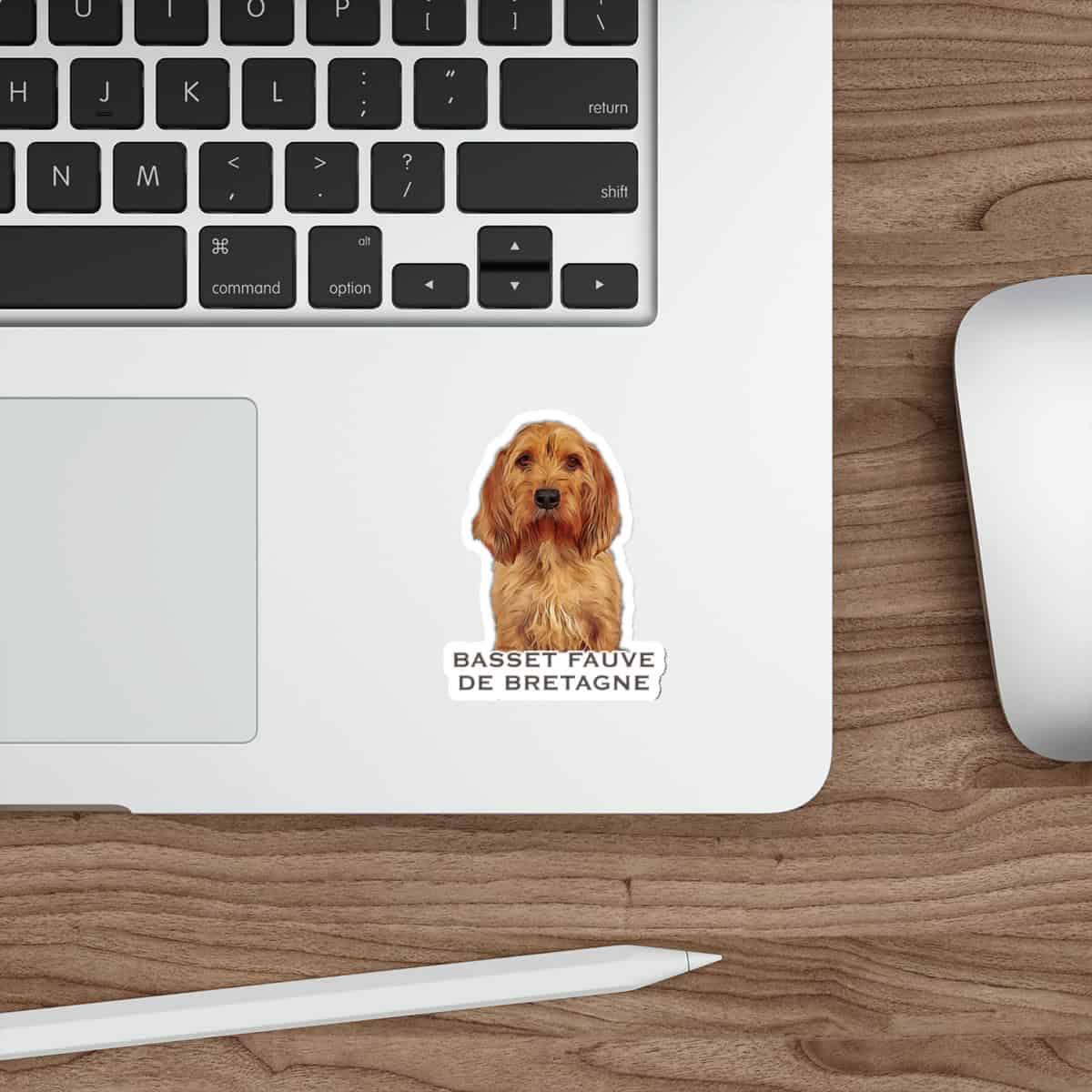 Basset Fauve de Bretagne sticker on laptop