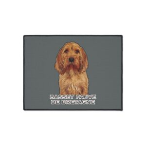 Illustration of Basset Fauve de Bretagne dog.