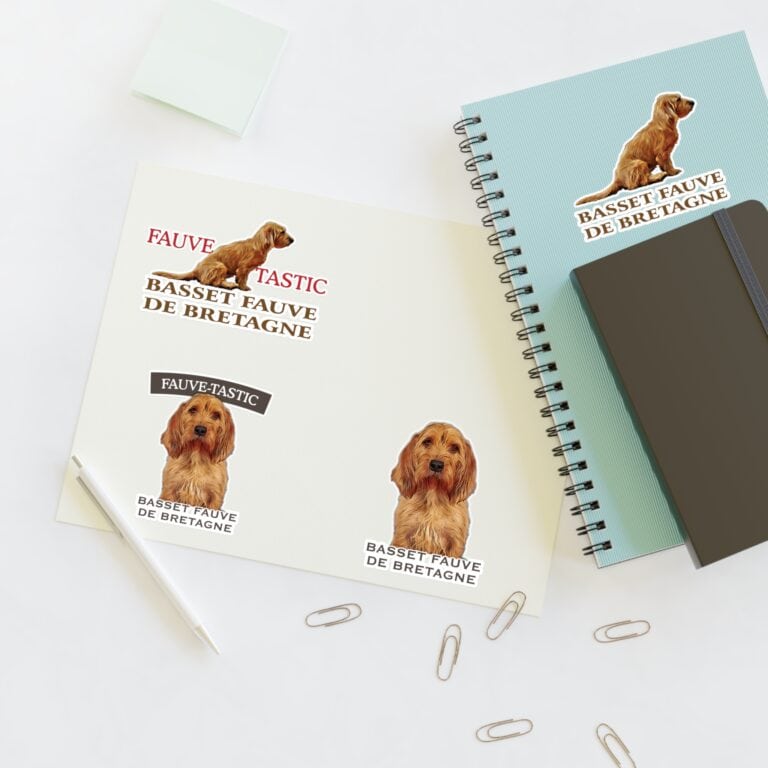 Notebooks with Basset Fauve de Bretagne dog stickers